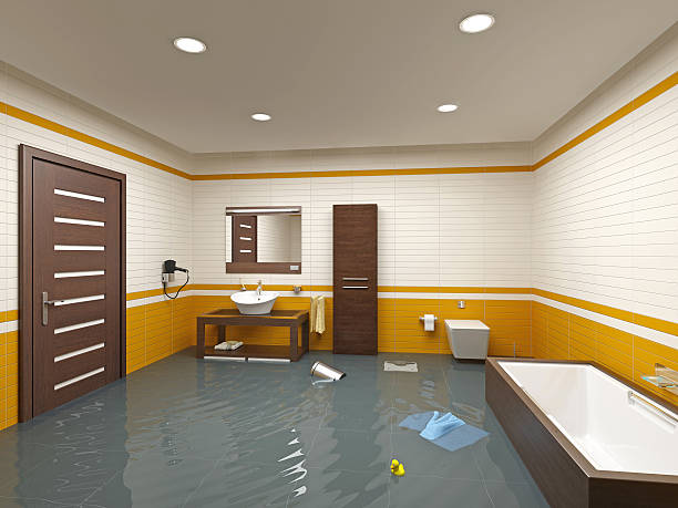 Best Wood Floor Water Damage Restoration in USA